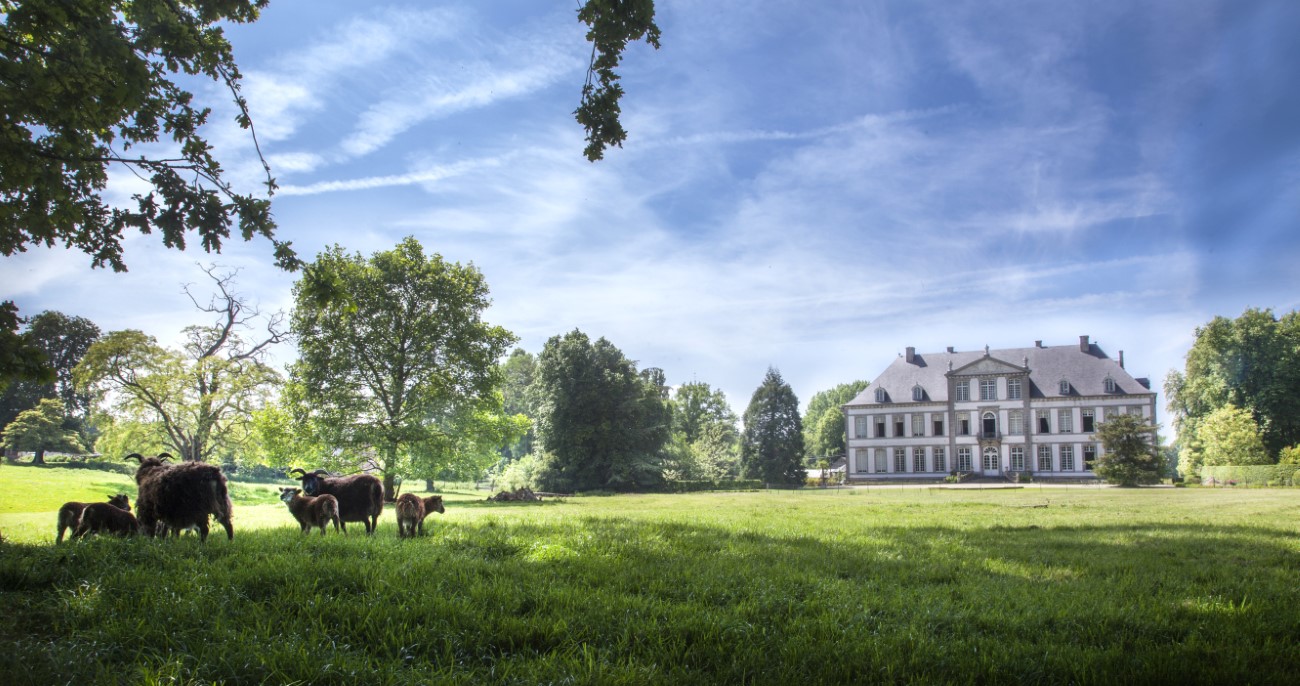 1300 Visit Wallonie Picardië _ Photoreportages Château d’Attre