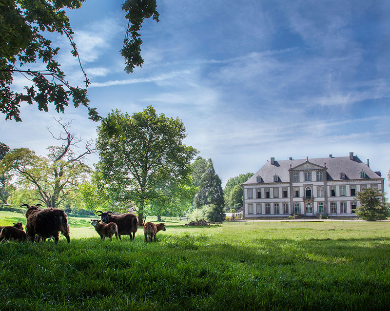 Visit Wallonie-Picardië - Fotoreportages Château d'Attre